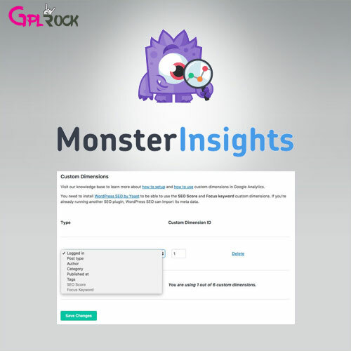 MonsterInsights – Dimensions Addon